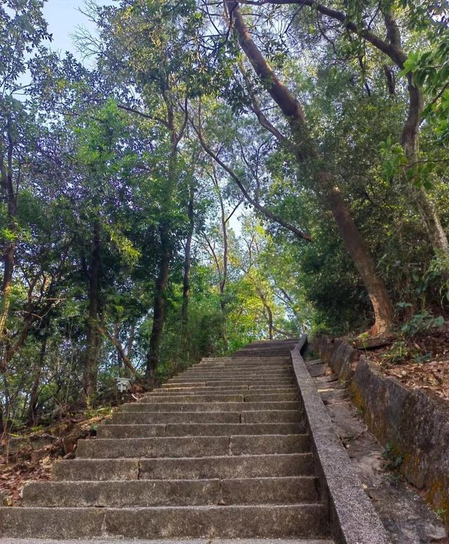 東莞旗峰公園秋日漫步一定要來這地方。