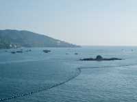 深圳大鵬旅遊攻略：海灘與自然的完美融合 🌊