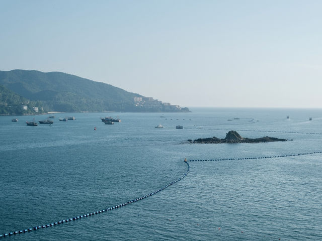 深圳大鵬旅遊攻略：海灘與自然的完美融合 🌊