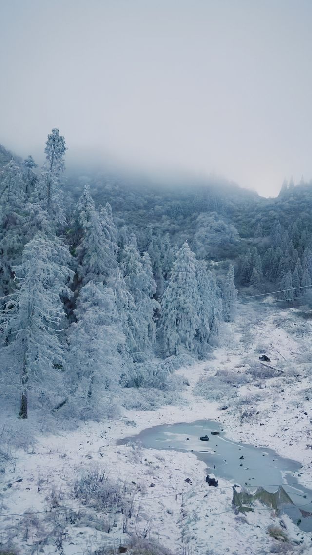 南天湖景區門票只需58元嗎？。