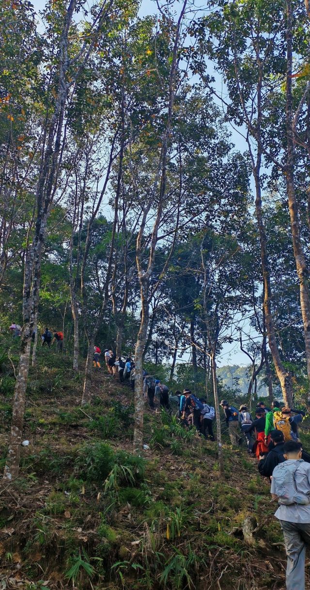 海南深山大環線徒步·瓊中白馬嶺1-4峰連穿。。