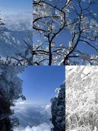 被朋友罵瘋了為了霧凇雪景去了趟郴州。