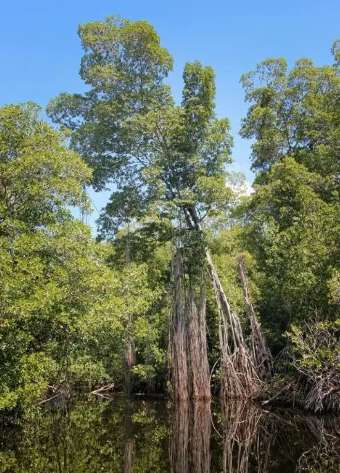 เกรทแบร์ริเออร์รีฟ | สวรรค์แห่งเพลงแห่งชีวิต