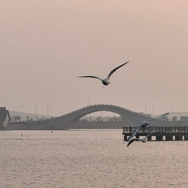 路過黃驊。