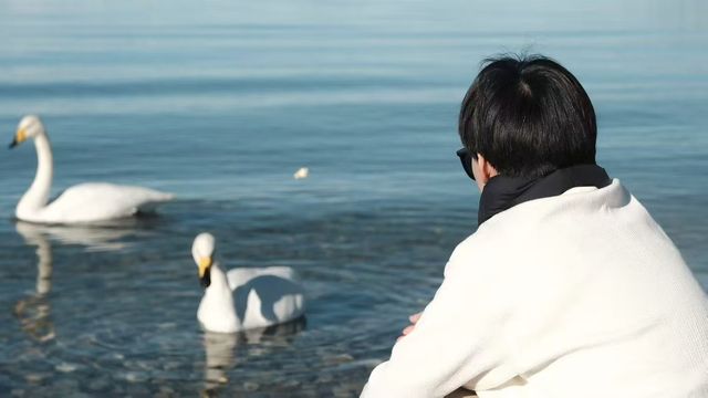 賽里木湖的冬夢畫卷。