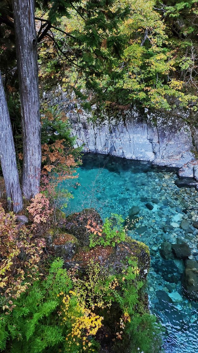 長野｜長野小溯溪聖地：阿寺溪谷。