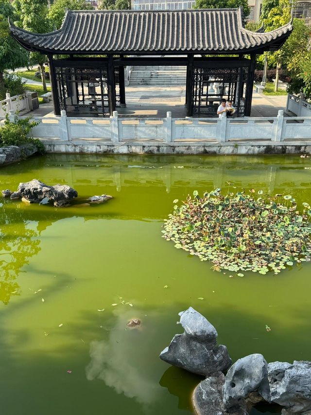 茂名高州緬茄公園探秘自然與歷史的交響曲