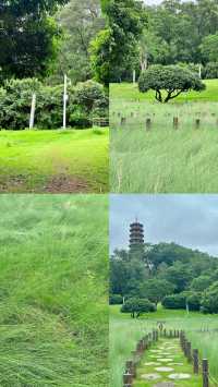 天呀｜深圳已經 next level 宮崎駿夏日來了