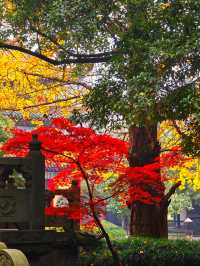 杭州東方文化園
