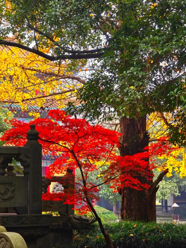 杭州東方文化園
