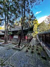 通海·秀山公園