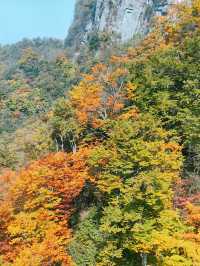 龍頭山風景區