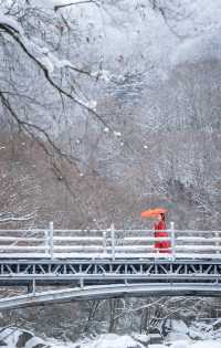 在光霧山拍攝的紅色戰國袍與雪景簡直絕配！