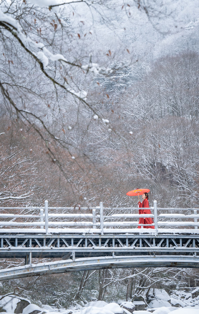 在光霧山拍攝的紅色戰國袍與雪景簡直絕配！