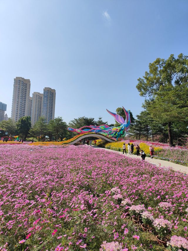 2024年小欖菊花會，賞菊品菊正當時