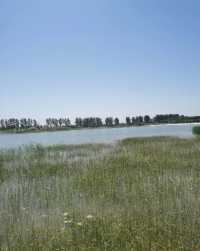 王家潭濕地公園