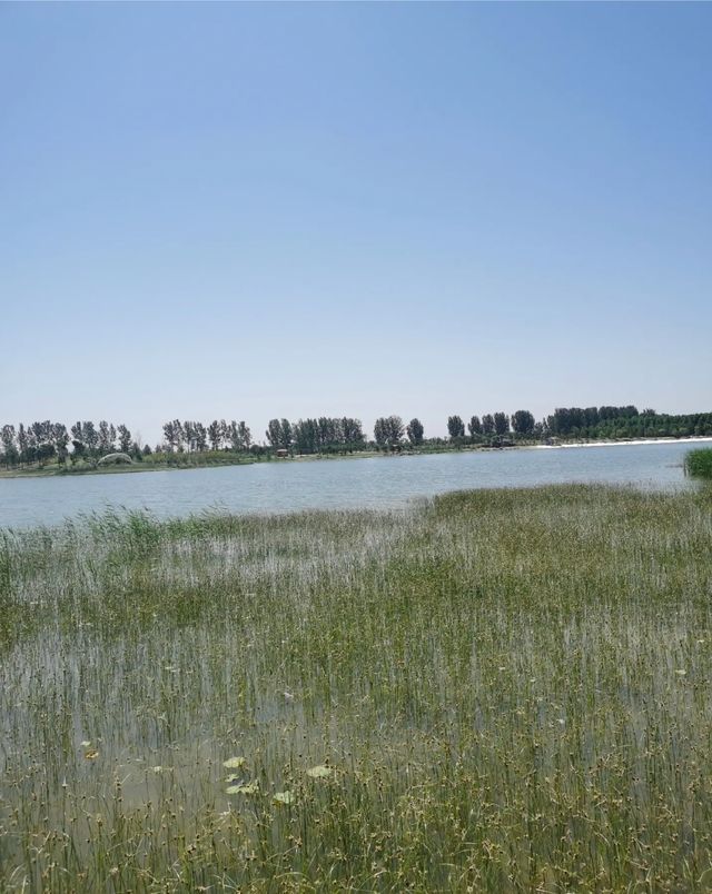 王家潭濕地公園