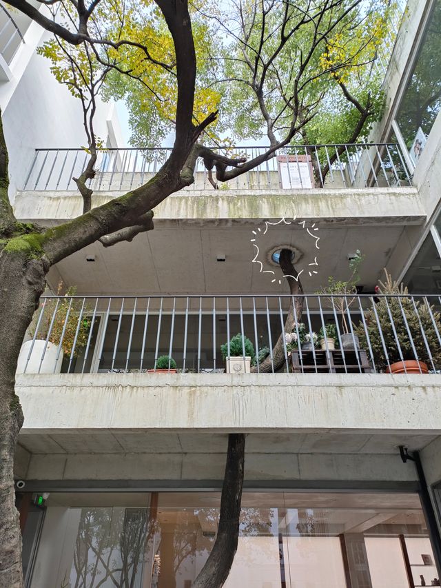 到訪陝西北路歷史街區新開放的何東舊居