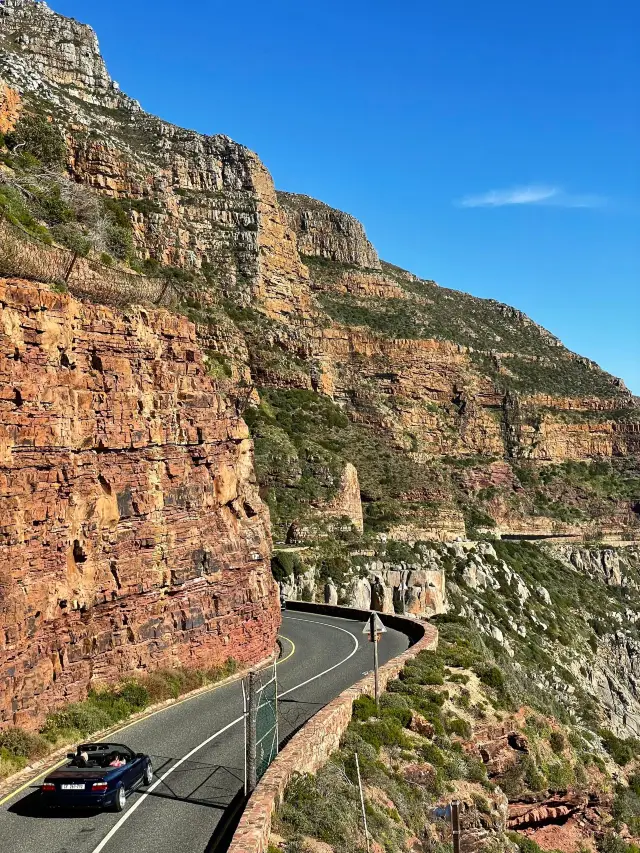 12-Day South Africa Tour: Detailed Itinerary Revealed