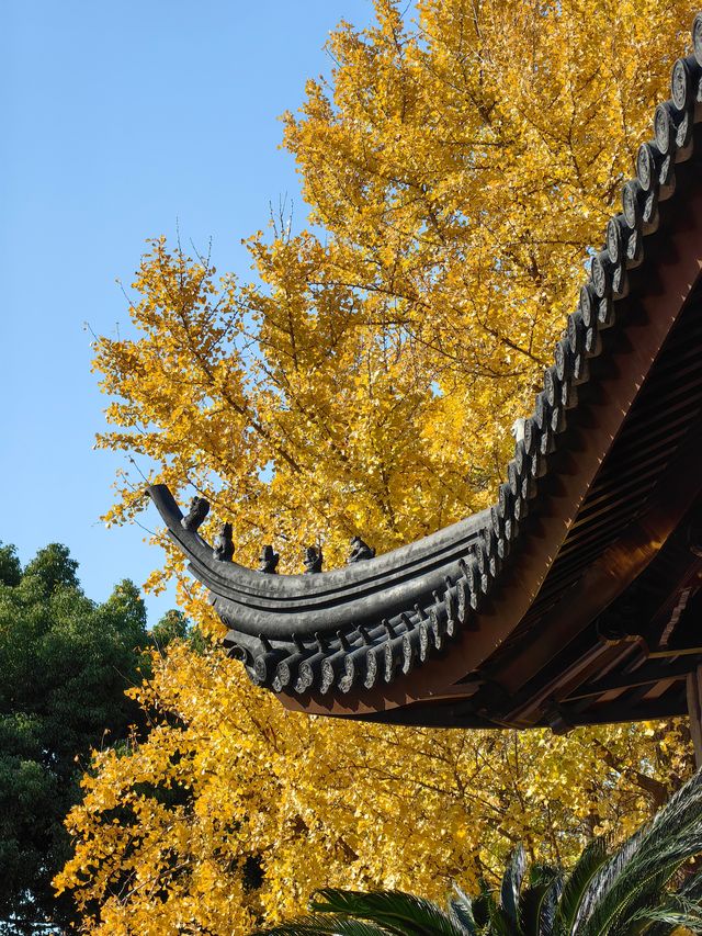 北寺塔秋景如畫