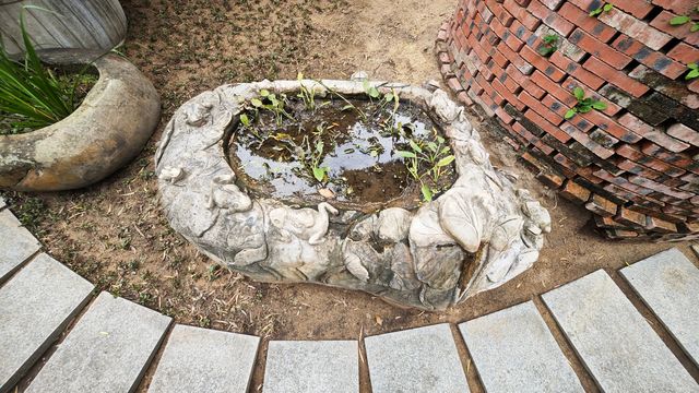 陳村花卉世界銘園的小玩意