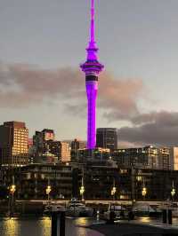 Auckland New Year Celebration