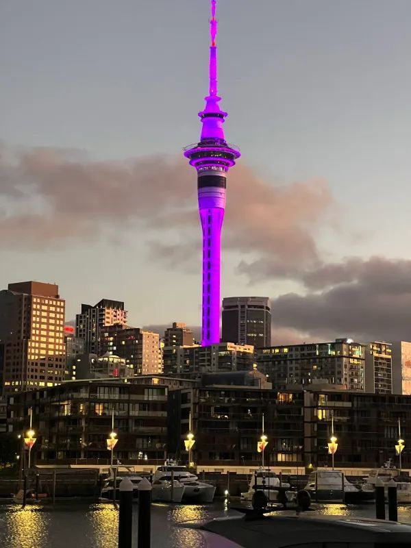Auckland New Year Celebration
