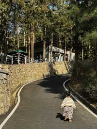 清遠馬頭山森林溫泉度假酒店