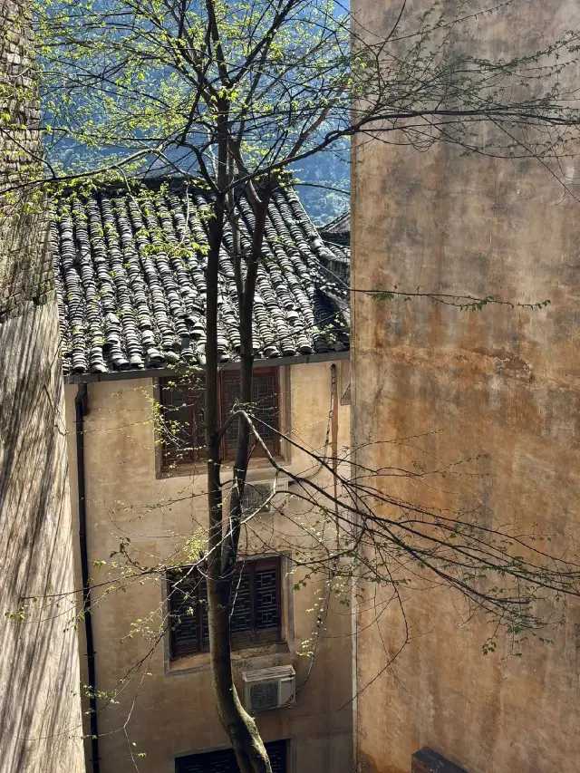 Nanchang-Lushan-Jingdezhen 3-Day Tour: The Ultimate Guide to Jiangxi