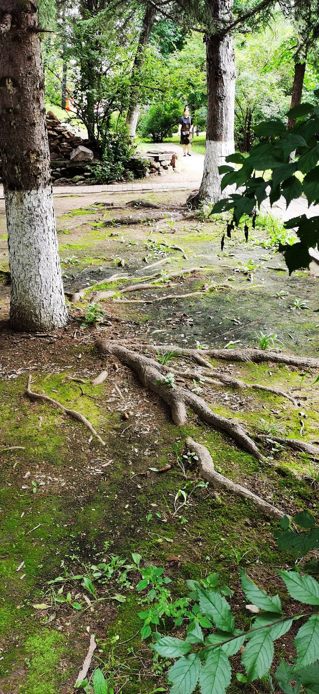 集安•高句麗遺址公園