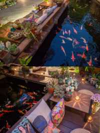 喺肇慶星湖旁嘅民宿，品茶餵魚兩不誤