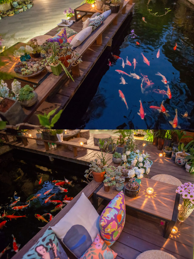 喺肇慶星湖旁嘅民宿，品茶餵魚兩不誤