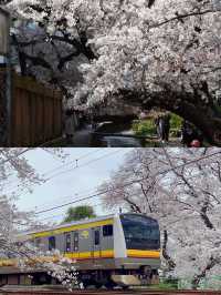 東京近鄰的寶藏城市，藏着無數驚喜