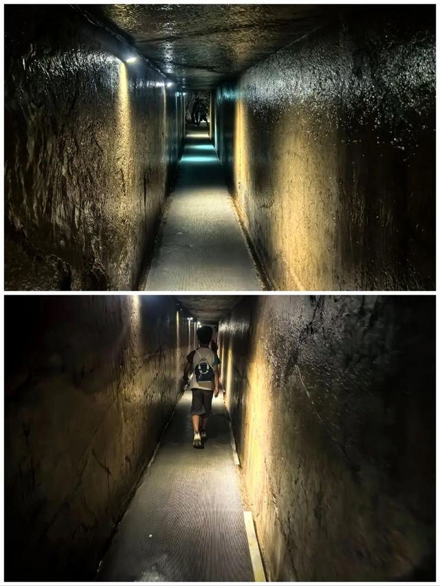 龜山漢墓深度遊攻略