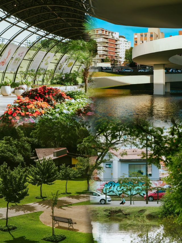 庫里提巴探秘之旅：植物園漫步，懸崖火車探險