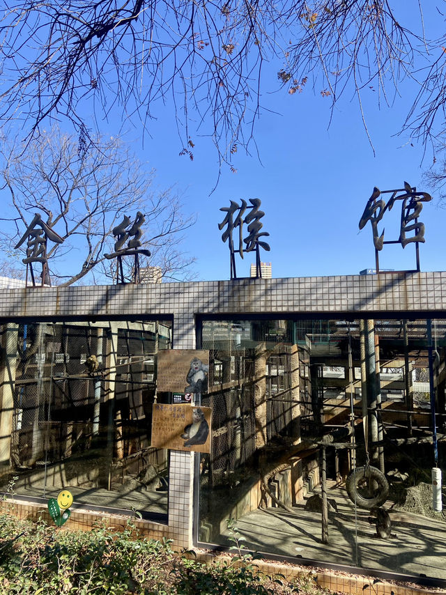 🦒🔥雲南昆明動物園｜是時候去看看可愛的動物了👀