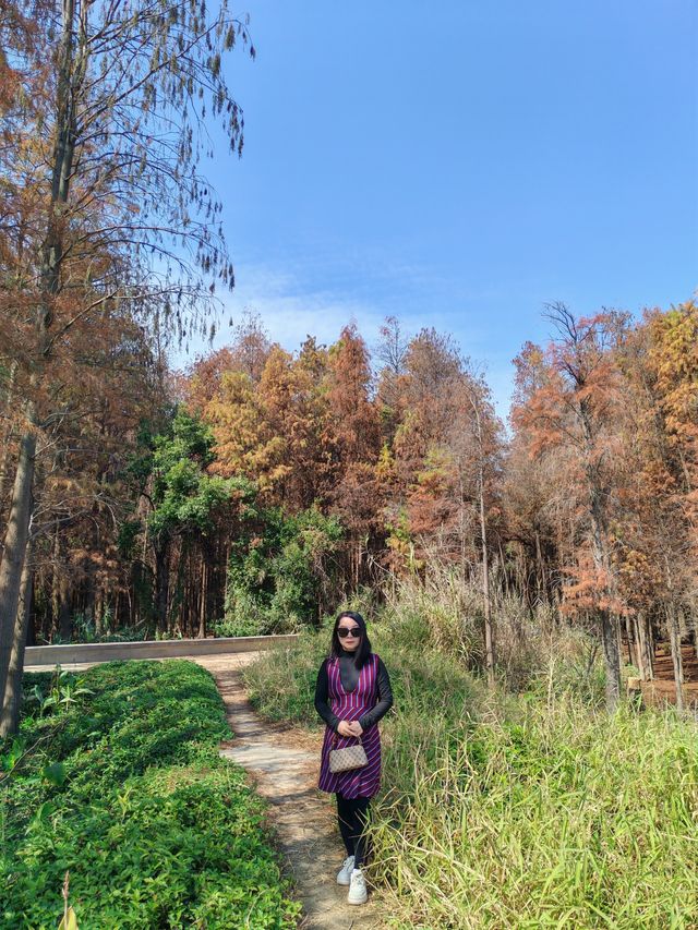 特成沙濕地公園，小眾浪漫打卡處