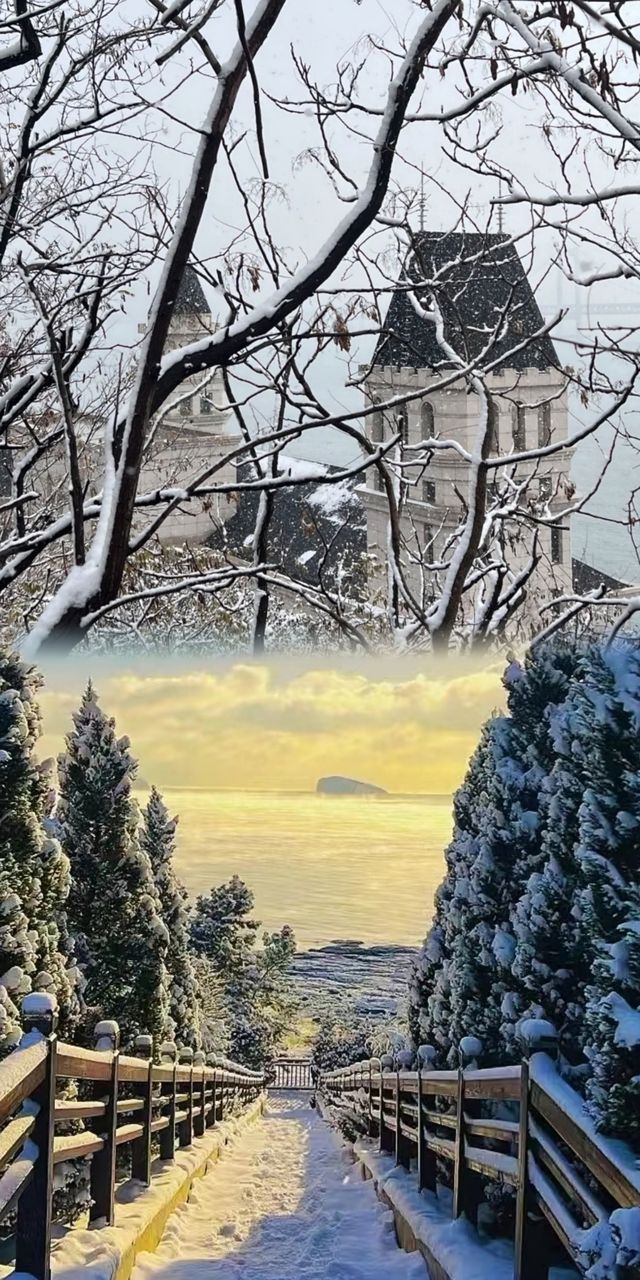大連冬韻：雪後海濱，別樣風情！