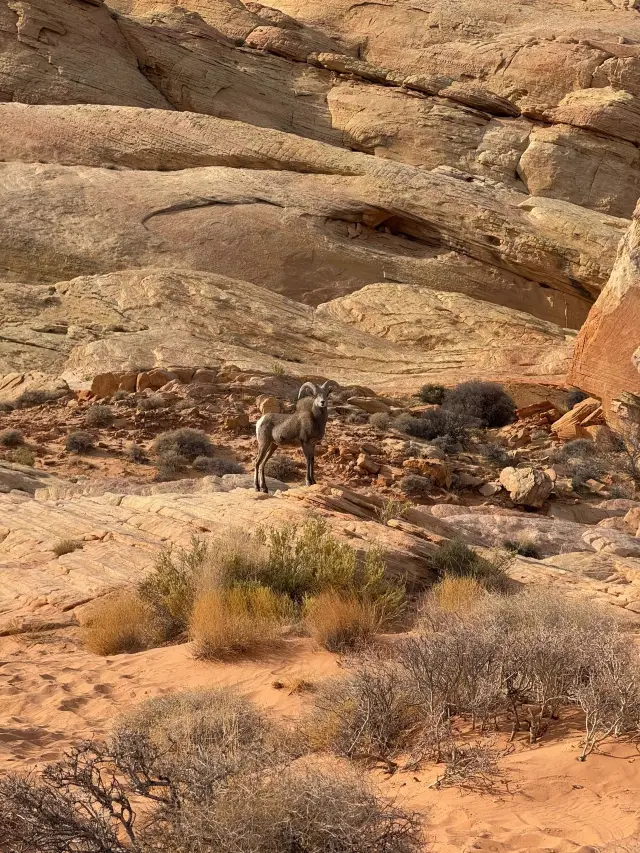 3-Day Tour of Urumqi and Turpan, Xinjiang: A Detailed Guide to Exploring Both Cities