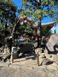 寒假日本遊 8天暢玩攻略