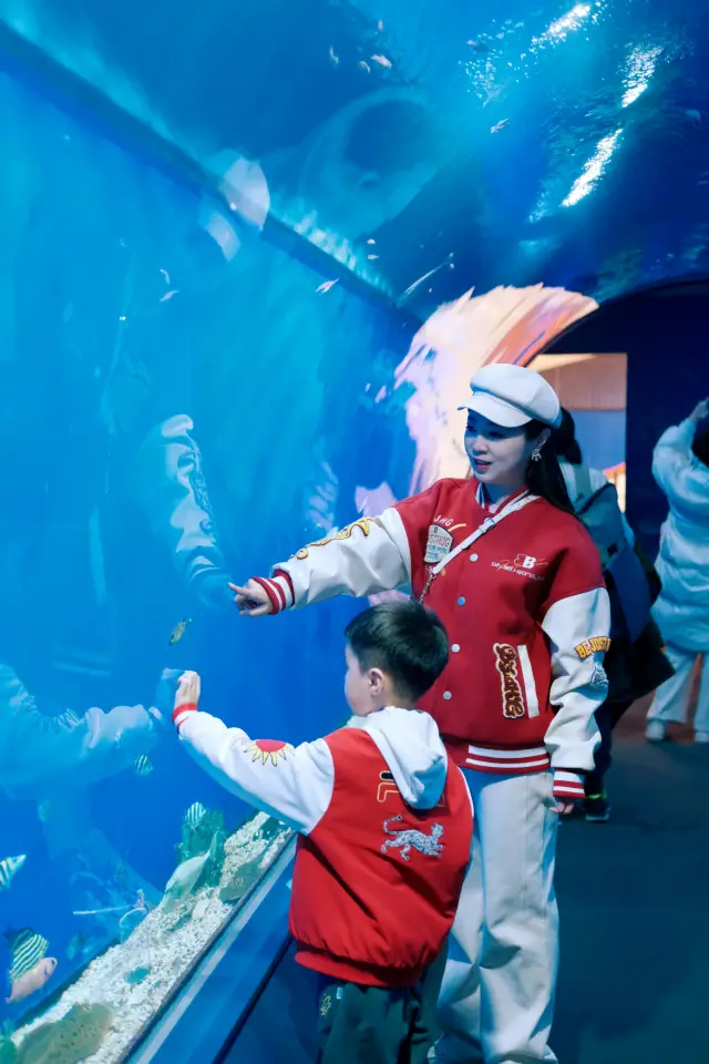 Osaka Aquarium KAIYUKAN Guide: Unlock One of the World's Largest Aquariums