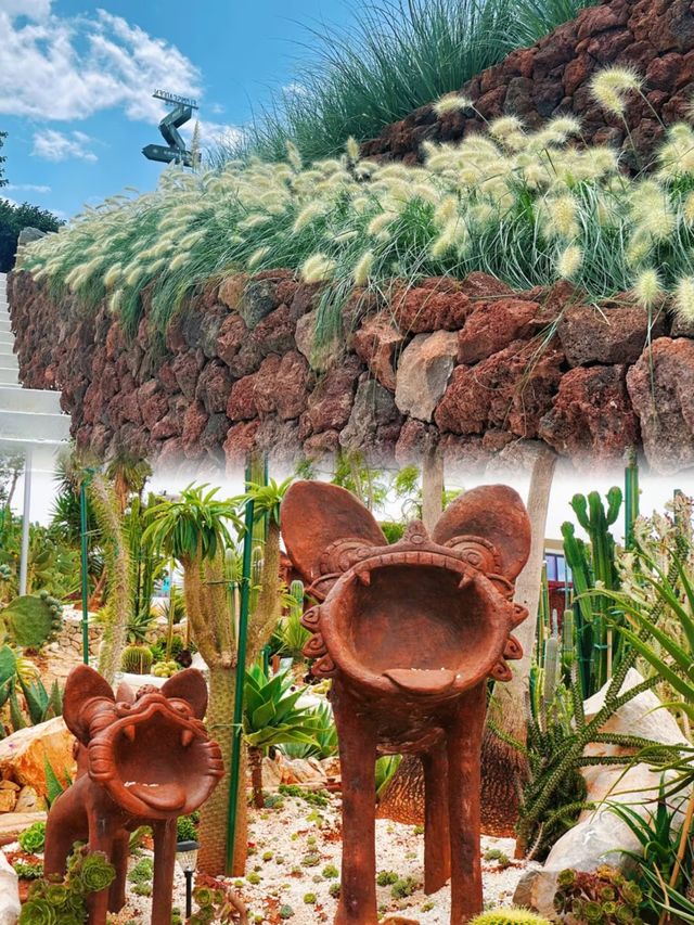 如歌的旅程來到大理一個超級美麗的全生態花園
