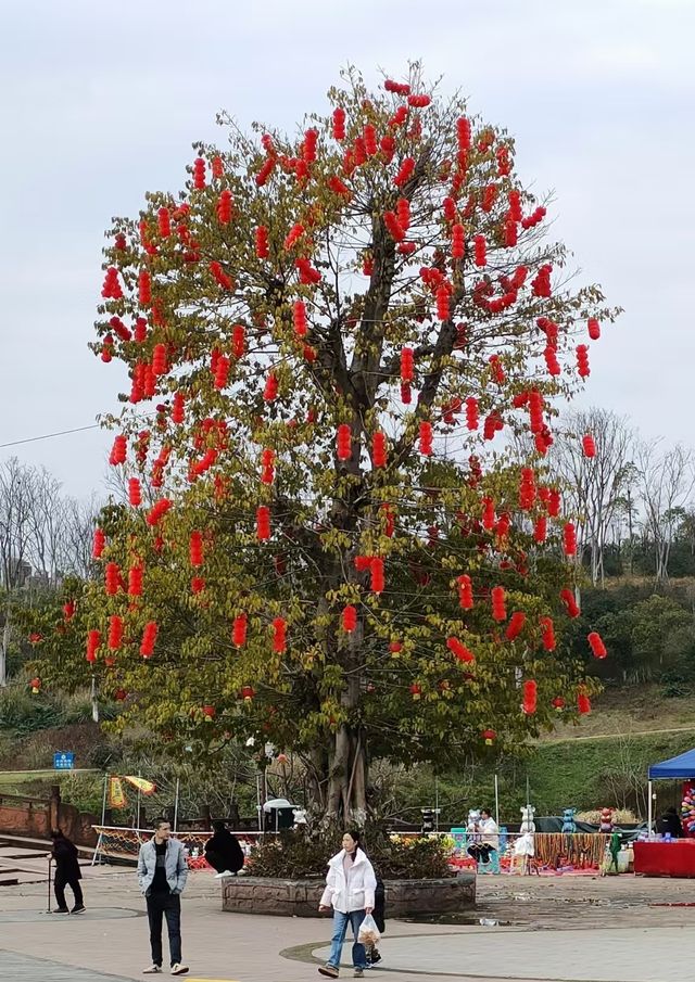 參觀遂寧市——大興寧寺