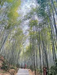 冬日溧陽旅遊攻略必睇篇