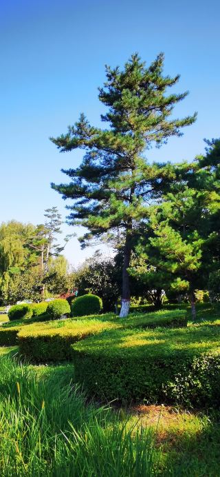Hunchun Longyuan Park