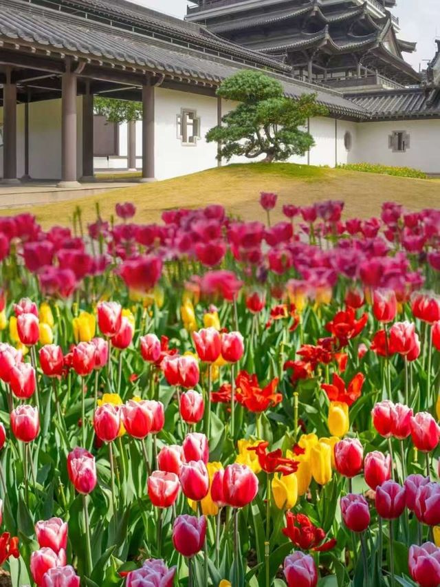 太抵啦！喺廣州唔使花一分錢就可以留足一日
