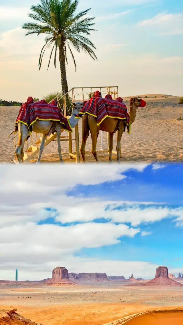 An Underrated Visa-Free Destination: 8 Days in Morocco for Just ¥4,000 per Person!