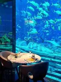 Unbelievable Deal! Sanya Atlantis for $999/3 Days with Breakfast Included