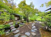 探索名古屋白鳥庭園｜欣賞自然之美