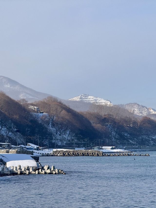 日本5日遊 必到景點大揭秘